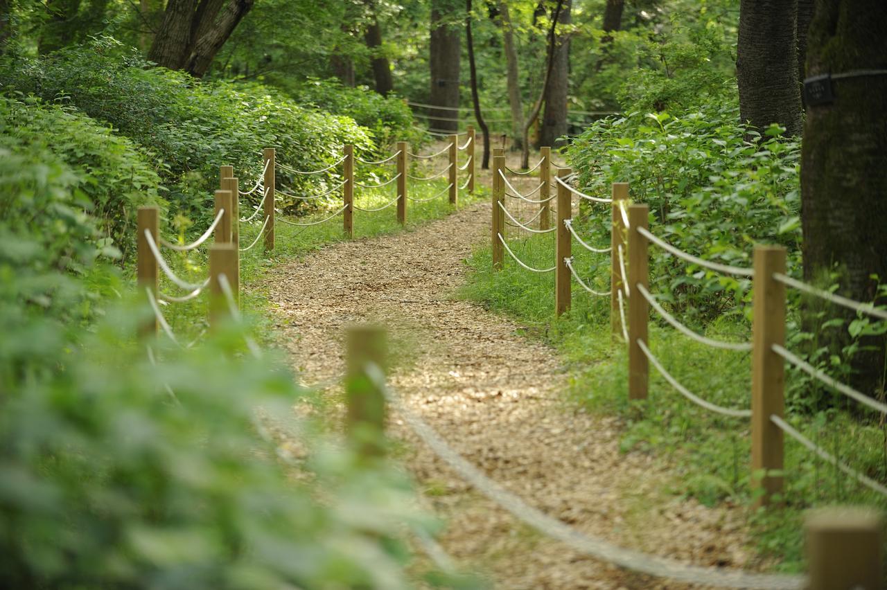 Forest Inn Showakan Akishima Esterno foto